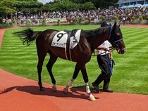 ����å��ǳ��������ɽ�����ޤ�