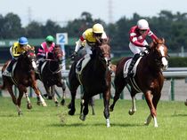 ����å��ǳ��������ɽ�����ޤ�