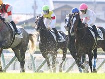 ����å��ǳ��������ɽ�����ޤ�