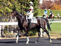 ����å��ǳ��������ɽ�����ޤ�