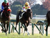 ����å��ǳ��������ɽ�����ޤ�