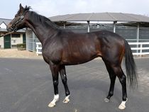 ����å��ǳ��������ɽ�����ޤ�