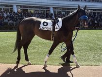 ����å��ǳ��������ɽ�����ޤ�