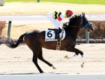 ����å��ǳ��������ɽ�����ޤ�