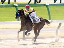 ����å��ǳ��������ɽ�����ޤ�