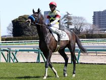 ����å��ǳ��������ɽ�����ޤ�