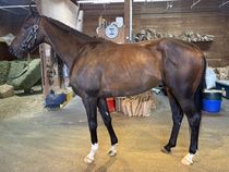 ����å��ǳ��������ɽ�����ޤ�