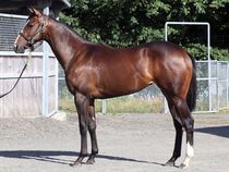 ����å��ǳ��������ɽ�����ޤ�