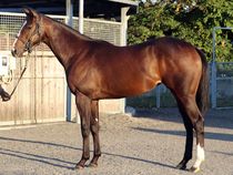 ����å��ǳ��������ɽ�����ޤ�