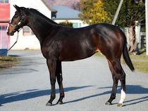 ����å��ǳ��������ɽ�����ޤ�