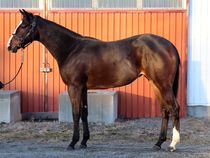 ����å��ǳ��������ɽ�����ޤ�