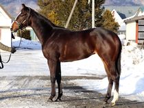 ����å��ǳ��������ɽ�����ޤ�