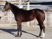 ����å��ǳ��������ɽ�����ޤ�