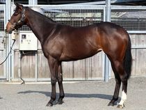 ����å��ǳ��������ɽ�����ޤ�