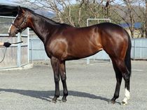 ����å��ǳ��������ɽ�����ޤ�