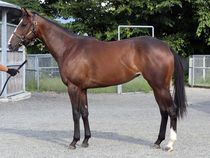 ����å��ǳ��������ɽ�����ޤ�