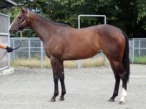 ����å��ǳ��������ɽ�����ޤ�