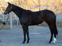 ����å��ǳ��������ɽ�����ޤ�