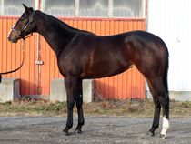 ����å��ǳ��������ɽ�����ޤ�