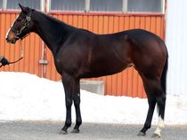 ����å��ǳ��������ɽ�����ޤ�