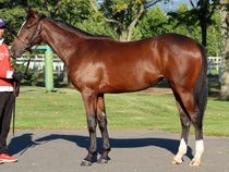 ����å��ǳ��������ɽ�����ޤ�