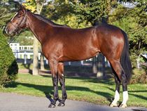 ����å��ǳ��������ɽ�����ޤ�