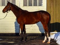 ����å��ǳ��������ɽ�����ޤ�