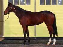 ����å��ǳ��������ɽ�����ޤ�