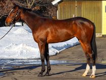 ����å��ǳ��������ɽ�����ޤ�