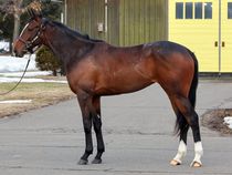 ����å��ǳ��������ɽ�����ޤ�