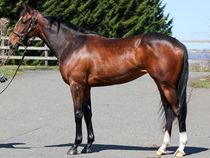 ����å��ǳ��������ɽ�����ޤ�