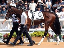 ����å��ǳ��������ɽ�����ޤ�