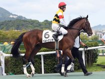 ����å��ǳ��������ɽ�����ޤ�