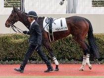 ����å��ǳ��������ɽ�����ޤ�