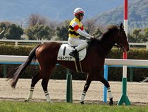 ����å��ǳ��������ɽ�����ޤ�