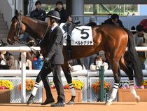 ����å��ǳ��������ɽ�����ޤ�