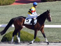 ����å��ǳ��������ɽ�����ޤ�