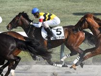 ����å��ǳ��������ɽ�����ޤ�