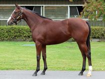 ����å��ǳ��������ɽ�����ޤ�