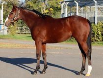 ����å��ǳ��������ɽ�����ޤ�