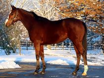 ����å��ǳ��������ɽ�����ޤ�