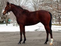 ����å��ǳ��������ɽ�����ޤ�