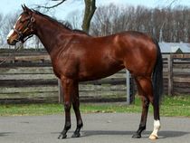 ����å��ǳ��������ɽ�����ޤ�