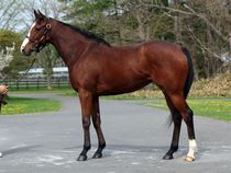 ����å��ǳ��������ɽ�����ޤ�