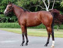 ����å��ǳ��������ɽ�����ޤ�