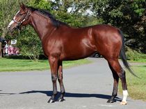 ����å��ǳ��������ɽ�����ޤ�