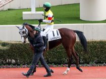 ����å��ǳ��������ɽ�����ޤ�