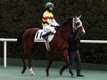 ����å��ǳ��������ɽ�����ޤ�