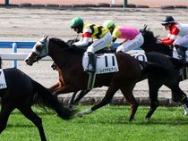 ����å��ǳ��������ɽ�����ޤ�