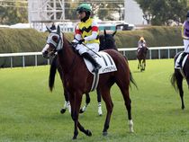 ����å��ǳ��������ɽ�����ޤ�